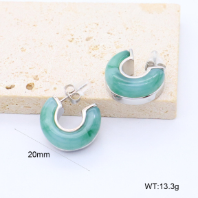 GEE002999vhha-066  316 Pin Resin,Handmade Polished  Stainless Steel Earrings  BC26040234E-S-GN