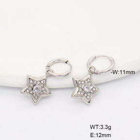 6E4004705bhia-766  316 SS Czech Stones,Handmade Polished  Stainless Steel Earrings