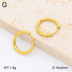2E2006984vail-452  Stainless Steel Earrings