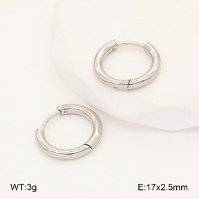 2E2006985aahl-452  Stainless Steel Earrings