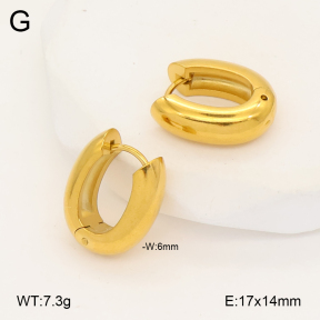 2E2006986vbmb-452  Stainless Steel Earrings