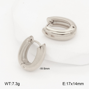 2E2006987aakl-452  Stainless Steel Earrings
