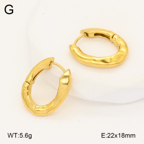 2E2006988vbmb-452  Stainless Steel Earrings