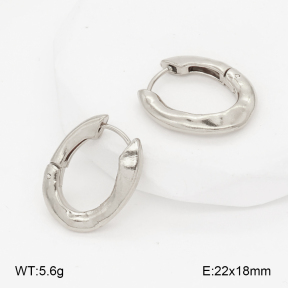 2E2006989aakl-452  Stainless Steel Earrings