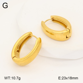 2E2006990vbmb-452  Stainless Steel Earrings