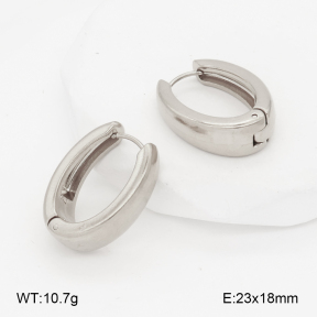 2E2006991aakl-452  Stainless Steel Earrings