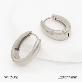 2E2006993aakl-452  Stainless Steel Earrings
