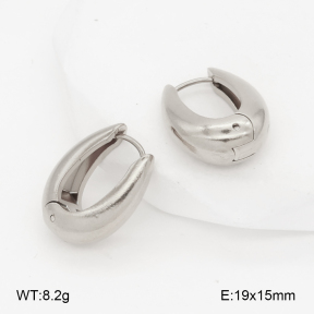 2E2006995aakl-452  Stainless Steel Earrings