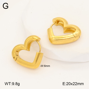 2E2006996vbmb-452  Stainless Steel Earrings