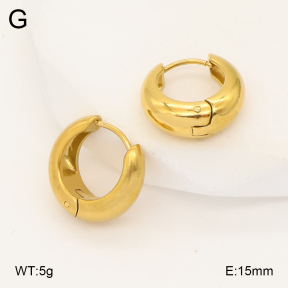2E2006998vbmb-452  Stainless Steel Earrings