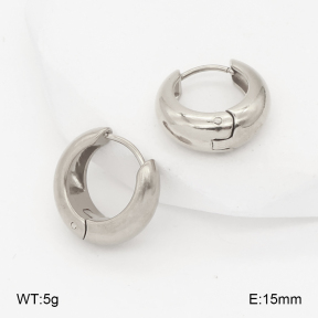 2E2006999aakl-452  Stainless Steel Earrings