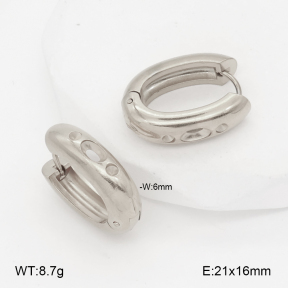2E2007001aakl-452  Stainless Steel Earrings