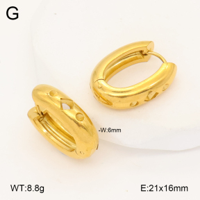 2E2007002vbmb-452  Stainless Steel Earrings