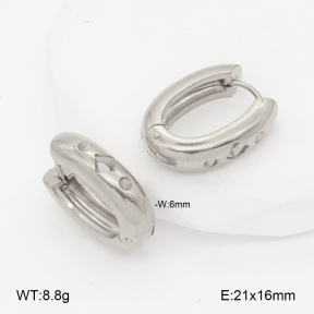 2E2007003aakl-452  Stainless Steel Earrings