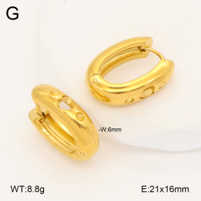 2E2007004vbmb-452  Stainless Steel Earrings