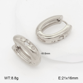 2E2007005aakl-452  Stainless Steel Earrings