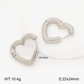 2E2007009aakl-452  Stainless Steel Earrings