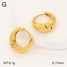 2E2007010vbmb-452  Stainless Steel Earrings