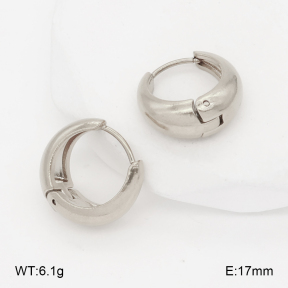 2E2007011aakl-452  Stainless Steel Earrings