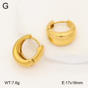 2E2007012vbmb-452  Stainless Steel Earrings