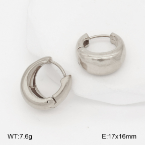 2E2007013aakl-452  Stainless Steel Earrings