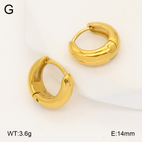 2E2007014vbmb-452  Stainless Steel Earrings