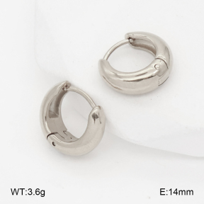 2E2007015aakl-452  Stainless Steel Earrings