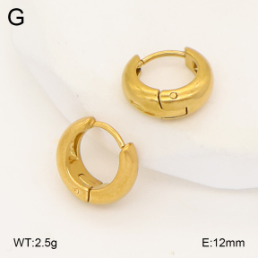 2E2007016vbmb-452  Stainless Steel Earrings