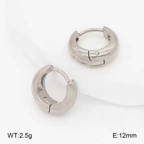 2E2007017aakl-452  Stainless Steel Earrings