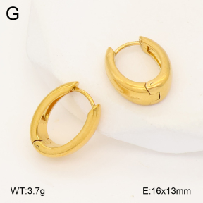 2E2007018vbmb-452  Stainless Steel Earrings