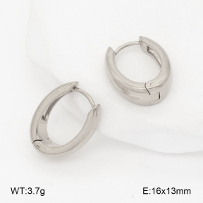 2E2007019aakl-452  Stainless Steel Earrings