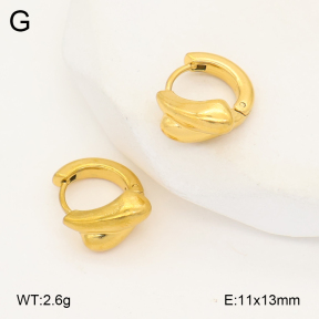 2E2007020vbmb-452  Stainless Steel Earrings