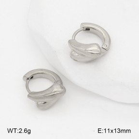 2E2007021aakl-452  Stainless Steel Earrings