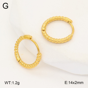 2E2007022vbmb-452  Stainless Steel Earrings
