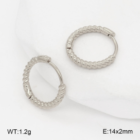 2E2007023aakl-452  Stainless Steel Earrings