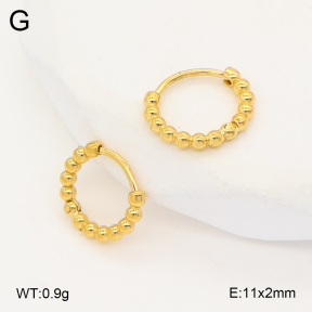 2E2007024vbmb-452  Stainless Steel Earrings