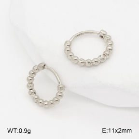 2E2007025aakl-452  Stainless Steel Earrings