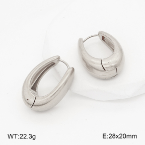 2E2007027aakl-452  Stainless Steel Earrings