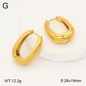 2E2007028vbmb-452  Stainless Steel Earrings