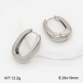 2E2007029aakl-452  Stainless Steel Earrings