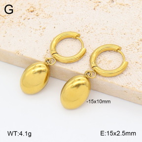 2E2007031avja-452  Stainless Steel Earrings
