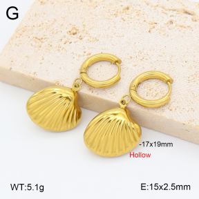 2E2007032avja-452  Stainless Steel Earrings