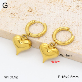 2E2007033avja-452  Stainless Steel Earrings