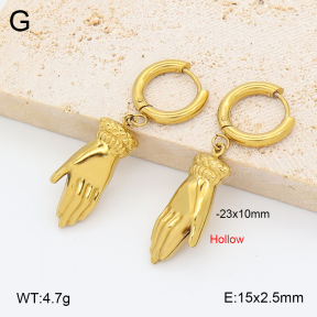 2E2007034avja-452  Stainless Steel Earrings