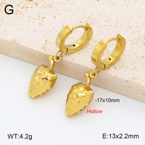 2E2007040avja-452  Stainless Steel Earrings