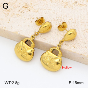 2E2007044avja-452  Stainless Steel Earrings