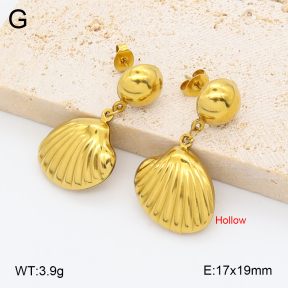 2E2007046avja-452  Stainless Steel Earrings
