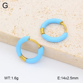 2E3004079avja-452  Stainless Steel Earrings