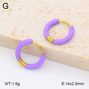 2E3004080avja-452  Stainless Steel Earrings