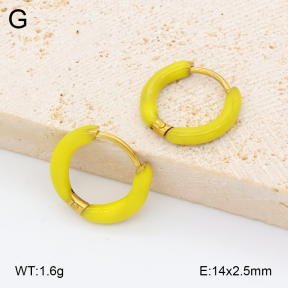 2E3004081avja-452  Stainless Steel Earrings